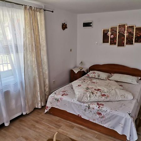 Casa Georgeta Pensjonat Bran  Zewnętrze zdjęcie