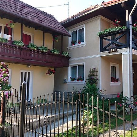 Casa Georgeta Pensjonat Bran  Zewnętrze zdjęcie
