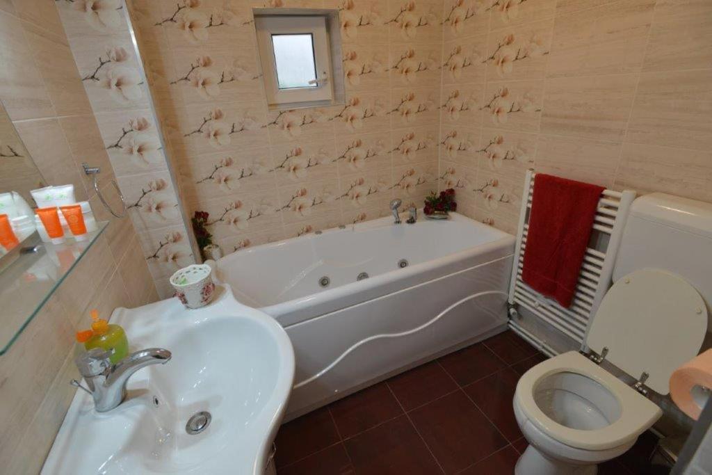Casa Georgeta Pensjonat Bran  Zewnętrze zdjęcie