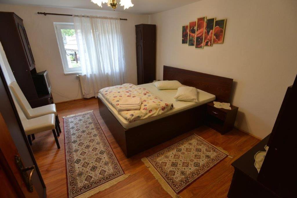 Casa Georgeta Pensjonat Bran  Zewnętrze zdjęcie