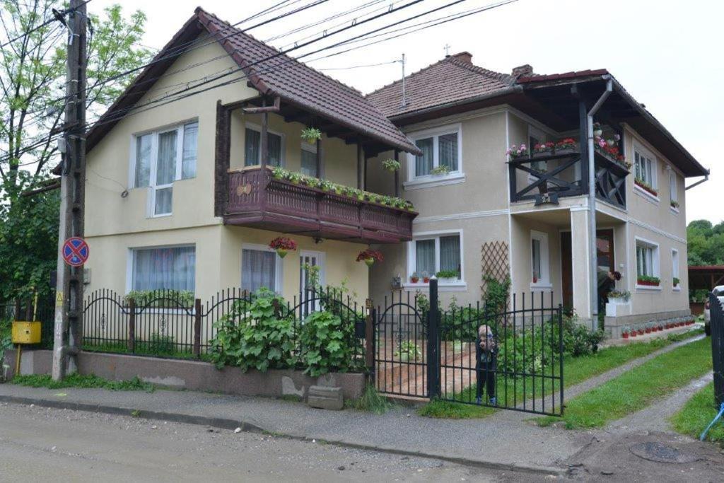 Casa Georgeta Pensjonat Bran  Zewnętrze zdjęcie