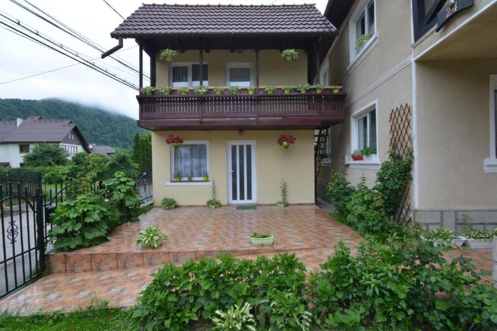 Casa Georgeta Pensjonat Bran  Zewnętrze zdjęcie