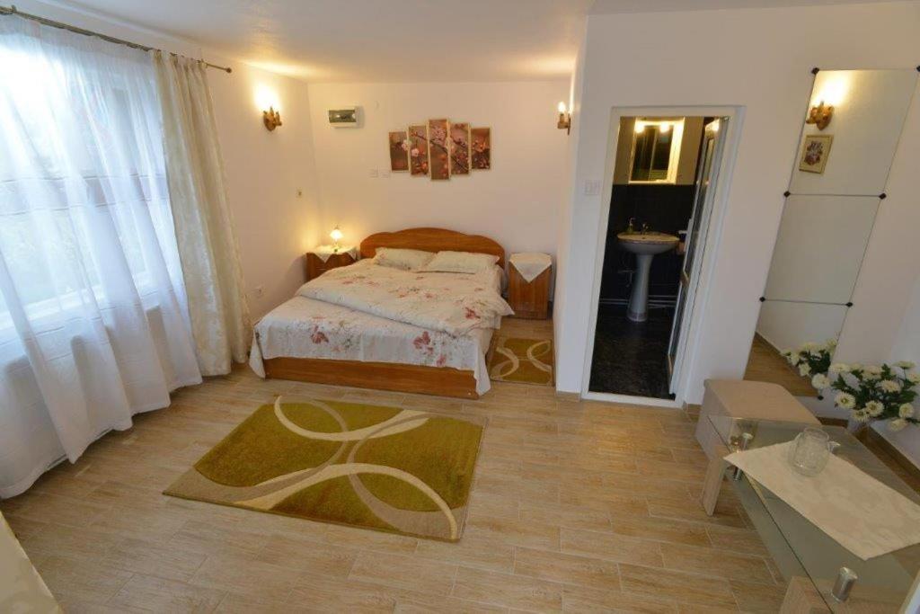 Casa Georgeta Pensjonat Bran  Zewnętrze zdjęcie