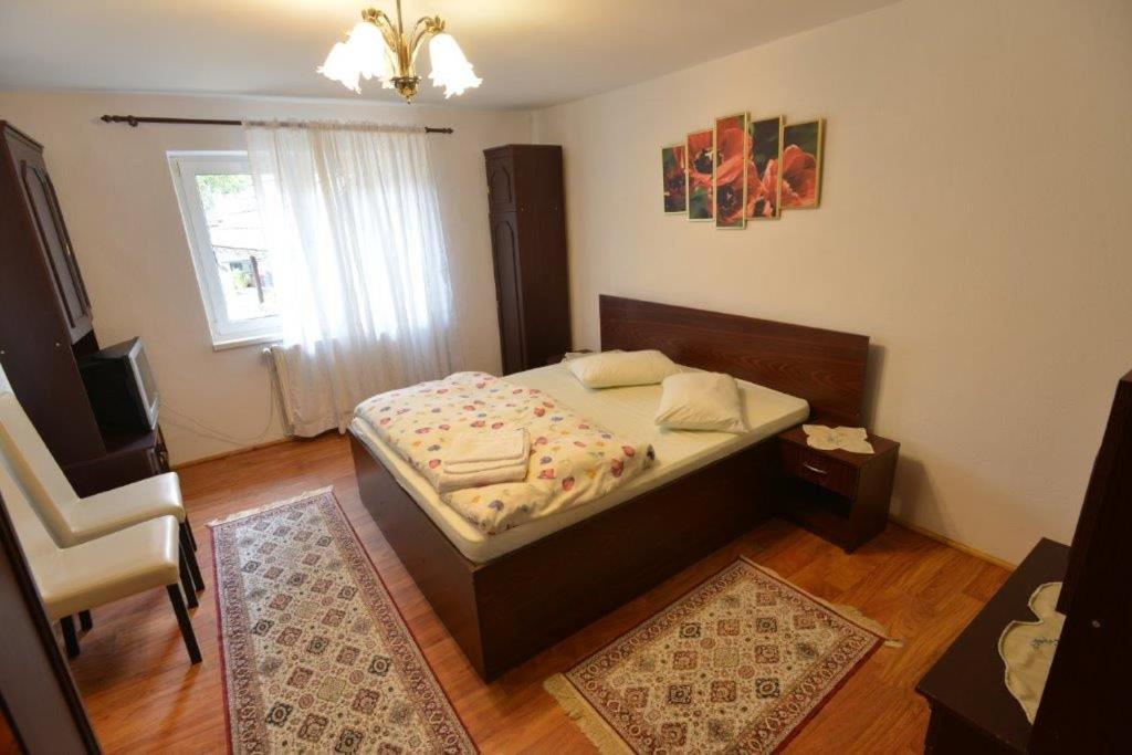 Casa Georgeta Pensjonat Bran  Zewnętrze zdjęcie