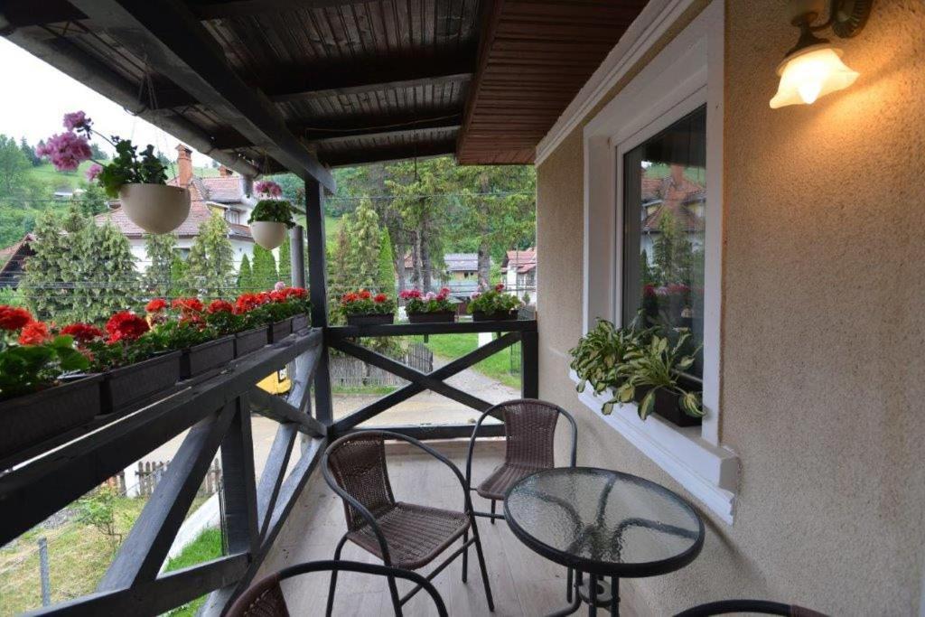 Casa Georgeta Pensjonat Bran  Zewnętrze zdjęcie