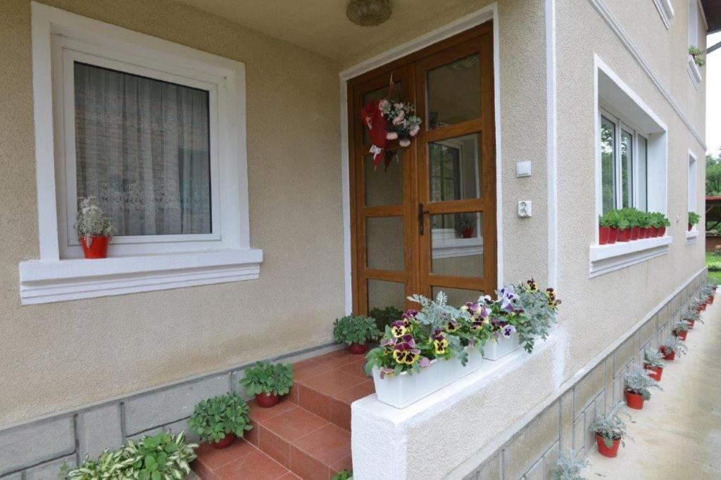 Casa Georgeta Pensjonat Bran  Zewnętrze zdjęcie