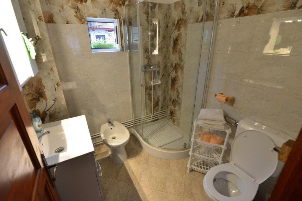 Casa Georgeta Pensjonat Bran  Zewnętrze zdjęcie