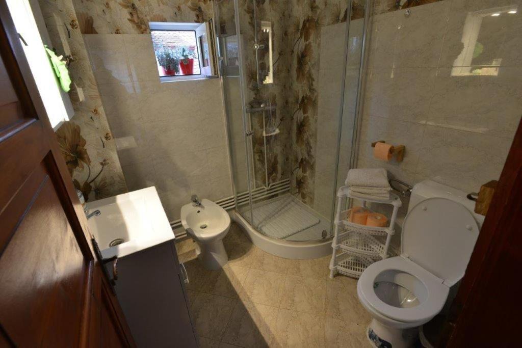 Casa Georgeta Pensjonat Bran  Zewnętrze zdjęcie