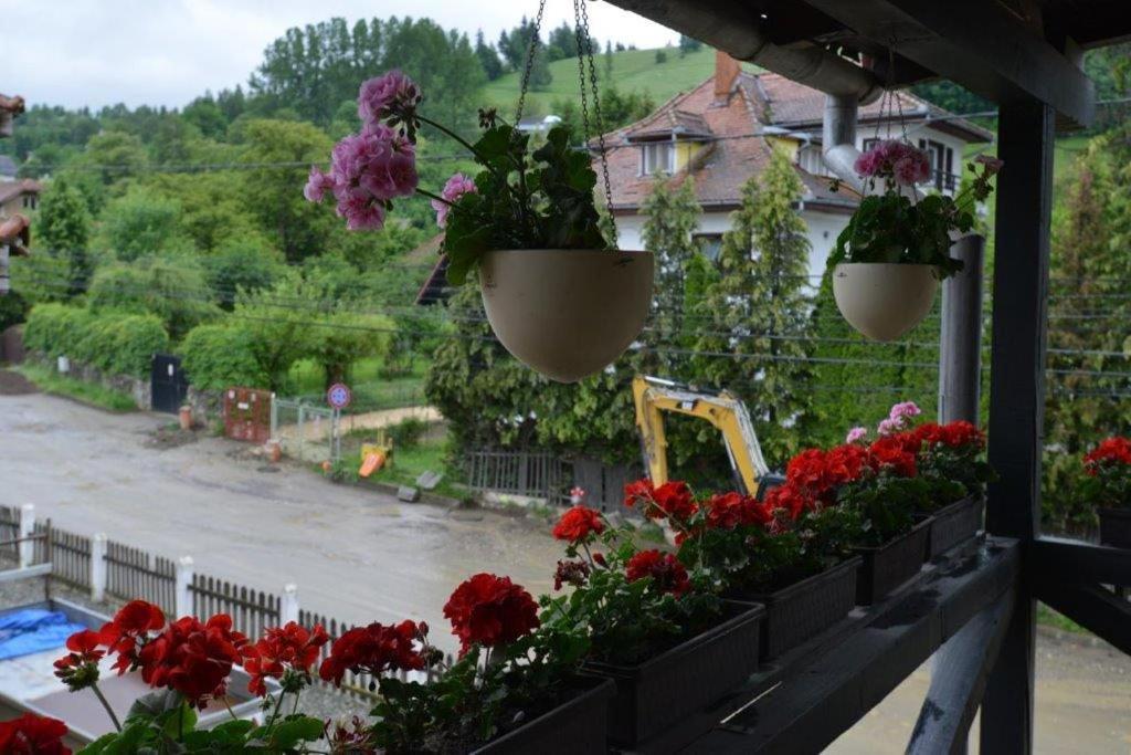 Casa Georgeta Pensjonat Bran  Zewnętrze zdjęcie