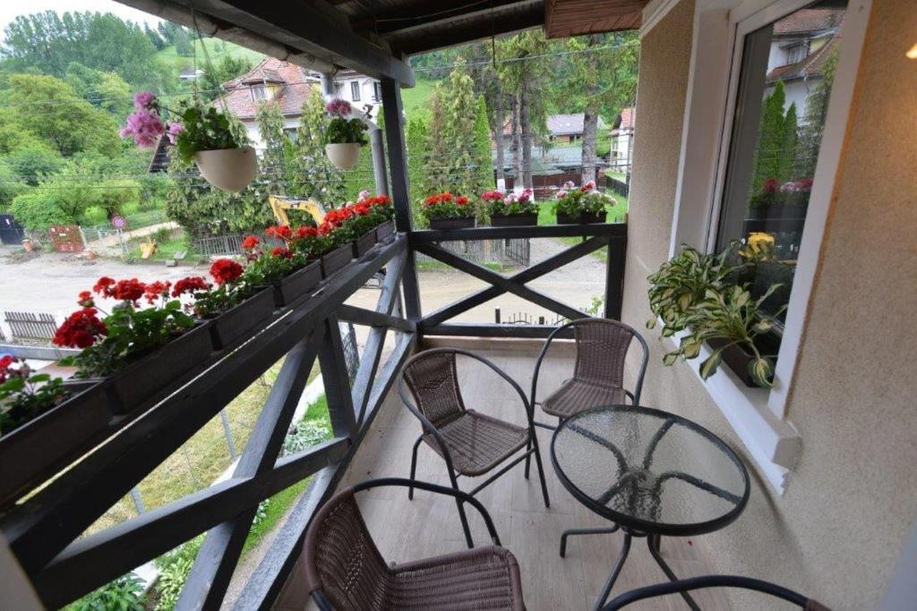 Casa Georgeta Pensjonat Bran  Zewnętrze zdjęcie