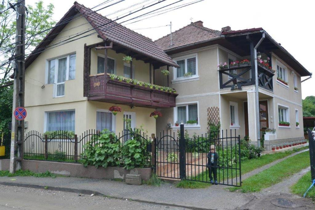 Casa Georgeta Pensjonat Bran  Zewnętrze zdjęcie