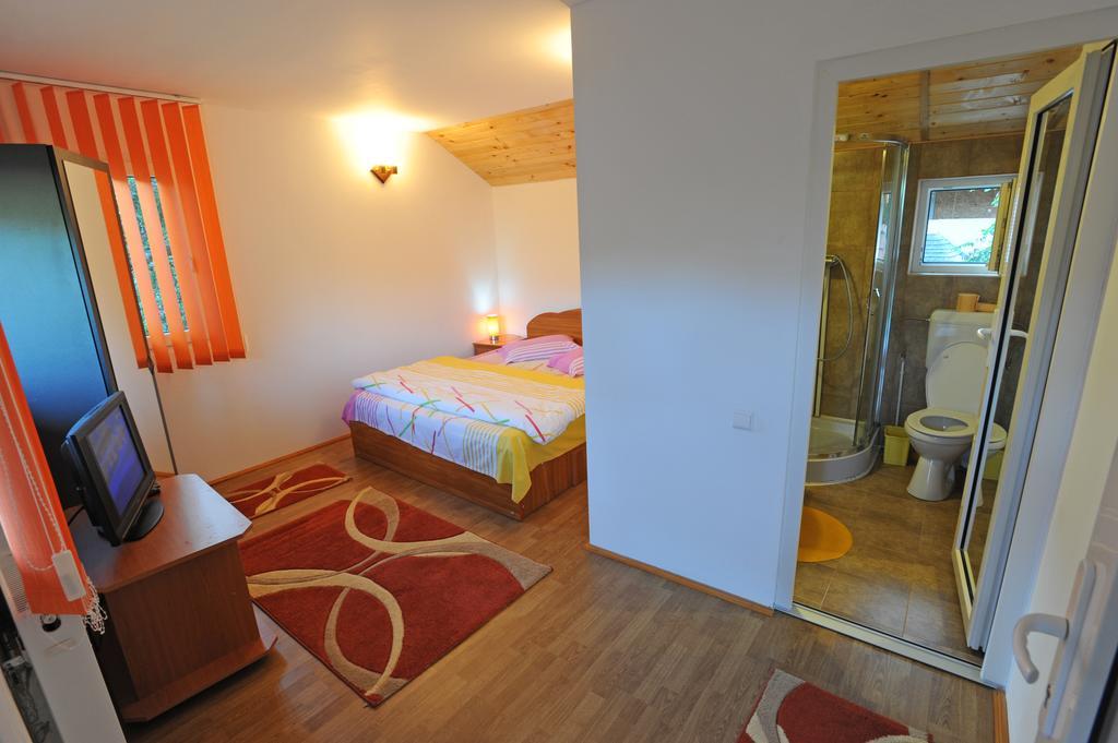 Casa Georgeta Pensjonat Bran  Zewnętrze zdjęcie