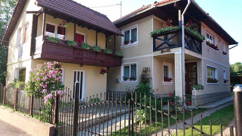 Casa Georgeta Pensjonat Bran  Zewnętrze zdjęcie