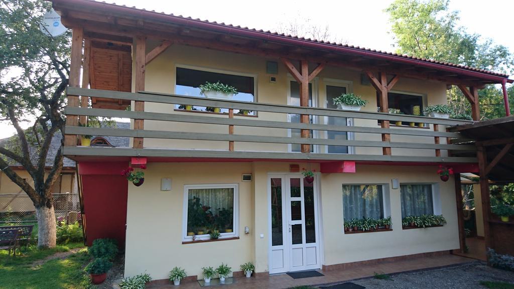 Casa Georgeta Pensjonat Bran  Zewnętrze zdjęcie